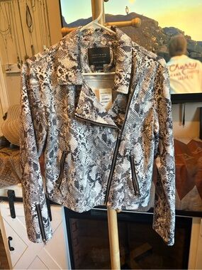 Sanctuary Snake-Print Leather Moto Jacket in Gray and Black